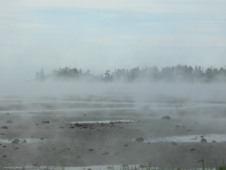 Fog clings to the mud flats of San Juan Island's False Bay.